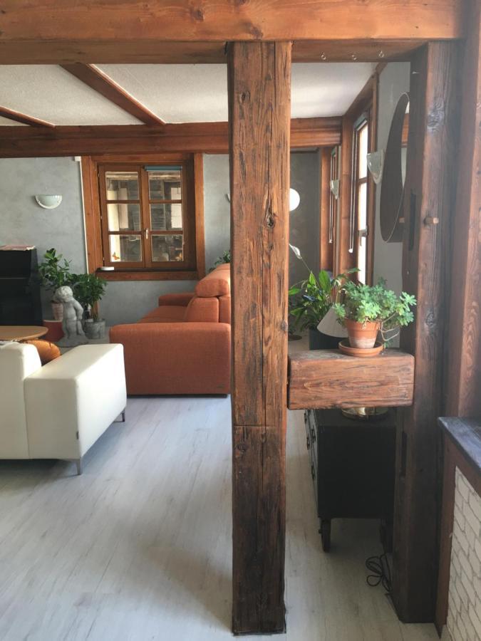 Au Relais De L'Histoire Gite Classe 4 Etoiles Oberbronn Экстерьер фото